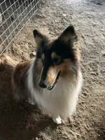 processed/41613500-7196-4cec-8b93-f33656dfd3aa/listing/9ace87ba-b517-448d-8caf-30deb88527ff/32c388da-b888-437b-9fec-740065229fe0