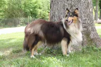 processed/41613500-7196-4cec-8b93-f33656dfd3aa/listing/9ace87ba-b517-448d-8caf-30deb88527ff/7061a8c5-ac75-4f36-a4dc-1bf1e46497e5