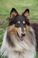 processed/41613500-7196-4cec-8b93-f33656dfd3aa/listing/9ace87ba-b517-448d-8caf-30deb88527ff/8f369c37-31c2-456c-8099-b8ada05a9ca9