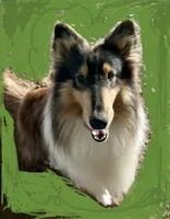 processed/41613500-7196-4cec-8b93-f33656dfd3aa/listing/9ace87ba-b517-448d-8caf-30deb88527ff/babcf529-9192-4990-bff5-80d91ef9414f