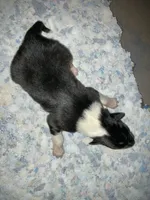 processed/41613500-7196-4cec-8b93-f33656dfd3aa/listing/ba734fd5-767f-44f7-96ae-9e7878cdc090/31fb1f90-eeef-474c-85ad-74545858aedb