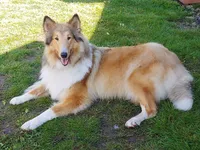 processed/41613500-7196-4cec-8b93-f33656dfd3aa/listing/f0f62883-269d-4419-9949-8243185deb4c/1661b3cf-1ce5-4498-bdbf-71b49d9ebc5a