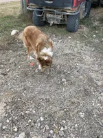 processed/41613500-7196-4cec-8b93-f33656dfd3aa/listing/f0f62883-269d-4419-9949-8243185deb4c/abda1352-d073-40bd-a7b1-ad67d3c4adb4