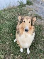 processed/41613500-7196-4cec-8b93-f33656dfd3aa/listing/f0f62883-269d-4419-9949-8243185deb4c/c9209f60-255e-4a20-9ffe-ad4fb981413e