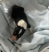 processed/41613500-7196-4cec-8b93-f33656dfd3aa/listing/f5b1bc2a-31ea-4549-ad47-447a564ac98f/0c407d8b-d25f-4feb-842b-8eaa4eec1fbd