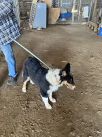 processed/41613500-7196-4cec-8b93-f33656dfd3aa/listing/f5b1bc2a-31ea-4549-ad47-447a564ac98f/11ea27df-ca8c-462e-a349-9aefd9120bb1