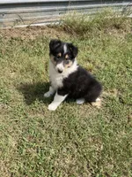 processed/41613500-7196-4cec-8b93-f33656dfd3aa/listing/f5b1bc2a-31ea-4549-ad47-447a564ac98f/401f3017-1522-421f-8f92-e3c2c7a50de0