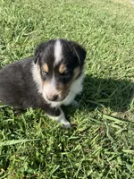 processed/41613500-7196-4cec-8b93-f33656dfd3aa/listing/f5b1bc2a-31ea-4549-ad47-447a564ac98f/59c418f5-0c82-4289-be23-4851eab6c301