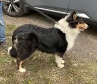 processed/41613500-7196-4cec-8b93-f33656dfd3aa/listing/f5b1bc2a-31ea-4549-ad47-447a564ac98f/72ffbd79-da3b-4880-8b09-c0b0c79e75b6