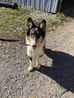 processed/41613500-7196-4cec-8b93-f33656dfd3aa/listing/f5b1bc2a-31ea-4549-ad47-447a564ac98f/bc14b0c8-79dc-4446-9dff-6811fad93623