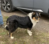 processed/41613500-7196-4cec-8b93-f33656dfd3aa/listing/f5b1bc2a-31ea-4549-ad47-447a564ac98f/c3a881a5-7060-44ff-a3c9-68bad3a54c32