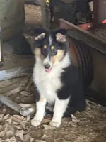 processed/41613500-7196-4cec-8b93-f33656dfd3aa/listing/f5b1bc2a-31ea-4549-ad47-447a564ac98f/dbec2856-7d8d-49d9-aec9-5efbf2686f9e