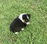 processed/41613500-7196-4cec-8b93-f33656dfd3aa/listing/f5b1bc2a-31ea-4549-ad47-447a564ac98f/e1c2de90-31a9-4a01-a37a-0eb7a71d26e1