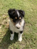 processed/41613500-7196-4cec-8b93-f33656dfd3aa/listing/f5b1bc2a-31ea-4549-ad47-447a564ac98f/fb8fb735-8fe9-48d1-acaa-ba61dd0e953c