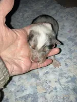 processed/41613500-7196-4cec-8b93-f33656dfd3aa/listing/fc205fa6-baf9-4838-9598-0376c328d219/68f67ba3-8c92-4434-8f0a-2fc3bf17c6a2