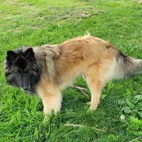 processed/416f2a2e-5f52-42c5-b1b2-1f2ac65b1d08/facility/32bdce12-90d8-465a-a542-3c7ee275dfde