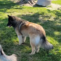 processed/416f2a2e-5f52-42c5-b1b2-1f2ac65b1d08/facility/559d38bf-60ae-4f1f-b1d3-9a8318dc407f