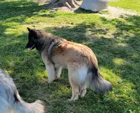 processed/416f2a2e-5f52-42c5-b1b2-1f2ac65b1d08/facility/559d38bf-60ae-4f1f-b1d3-9a8318dc407f