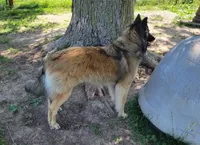 processed/416f2a2e-5f52-42c5-b1b2-1f2ac65b1d08/facility/7c46533a-ed09-4c0c-b96a-2517c14d1dfc