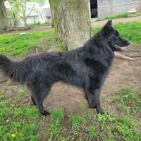 processed/416f2a2e-5f52-42c5-b1b2-1f2ac65b1d08/facility/8e0b2b9c-c5ce-4358-be92-63969aaf5d0c