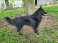 processed/416f2a2e-5f52-42c5-b1b2-1f2ac65b1d08/facility/8e0b2b9c-c5ce-4358-be92-63969aaf5d0c