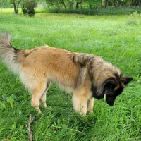 processed/416f2a2e-5f52-42c5-b1b2-1f2ac65b1d08/facility/9f2506c1-3f9b-4ef6-8726-2b09ad90464c