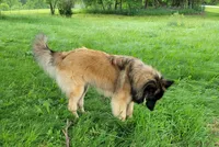 processed/416f2a2e-5f52-42c5-b1b2-1f2ac65b1d08/facility/9f2506c1-3f9b-4ef6-8726-2b09ad90464c