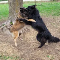 processed/416f2a2e-5f52-42c5-b1b2-1f2ac65b1d08/facility/a48f0061-49e7-4c1a-806c-807dcf9076c7