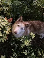 processed/417a897d-cd6d-4d43-a84d-34bb2e3865c7/facility/23e29497-eb4b-4304-a207-80c58e8e54a6