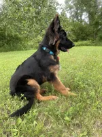 processed/417a897d-cd6d-4d43-a84d-34bb2e3865c7/facility/26bd1b0e-d25c-4f4f-a13f-e9549811b36a