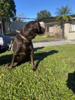 processed/417a897d-cd6d-4d43-a84d-34bb2e3865c7/facility/347265db-58d6-4d15-a9c3-3a3bdfe1168e