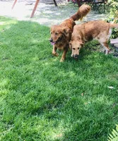 processed/417a897d-cd6d-4d43-a84d-34bb2e3865c7/facility/68797da3-57ed-48ee-8200-cac61524cd42