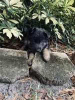 processed/417a897d-cd6d-4d43-a84d-34bb2e3865c7/facility/9fad27f9-871b-474b-99f1-d5fe409cb523