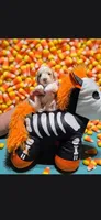  ZERO (Tiny), a male Poodle - Toy  for sale in Valparaiso, IN – 3 of 5