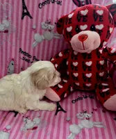 processed/417b11da-fa0d-436a-81fc-27b26b9ac5c0/listing/9c08e11e-09d0-4e51-aff8-8bc425c2fc16/2c89b652-52fa-44bf-82f3-7dca8b87a839