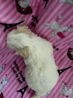 processed/417b11da-fa0d-436a-81fc-27b26b9ac5c0/listing/9c08e11e-09d0-4e51-aff8-8bc425c2fc16/e931a4c4-a440-4245-bfbd-d29f3b286997