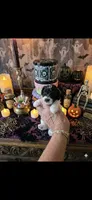 JACK, a male Poodle - Toy  for sale in Valparaiso, IN – 1 of 5