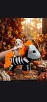  ZERO (Tiny), a male Poodle - Toy  for sale in Valparaiso, IN – 2 of 5