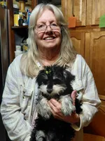 Snookie 2, a female Miniature Schnauzer for sale in Greeneville, TN – 4 of 6