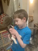 processed/4188b98b-dd1d-448c-866b-034daeba144b/facility/341ab1f4-29e4-4d26-87c5-5ef2b150b9f0