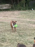 processed/4188b98b-dd1d-448c-866b-034daeba144b/facility/6b621115-e608-4df3-bfa4-8eb3d1651b6b