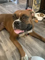 processed/4188b98b-dd1d-448c-866b-034daeba144b/facility/93b4987c-f830-4c64-9558-211a9adc2afe