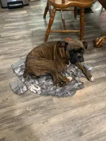 processed/4188b98b-dd1d-448c-866b-034daeba144b/facility/a5d9ba40-3257-4255-bafb-c2a109952a9b