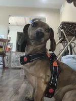 processed/4188b98b-dd1d-448c-866b-034daeba144b/facility/b65c1ee3-0ef7-411e-9357-1dba865f068f