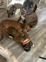 processed/4188b98b-dd1d-448c-866b-034daeba144b/facility/ce7cd6c5-8ee1-4b58-bb79-c26e26340cc0