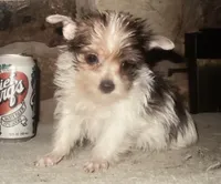 processed/419c46ac-4d4c-4fe1-8682-6e143f1ad48b/listing/f3bb54fc-5d9a-45f5-89f7-72c789329d65/4da502e9-849a-4f80-bfac-af835c73f6a4