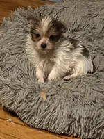 processed/419c46ac-4d4c-4fe1-8682-6e143f1ad48b/listing/f3bb54fc-5d9a-45f5-89f7-72c789329d65/a00e1b6b-2f05-4207-8357-b3415d6238a1