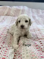 processed/41c2aaab-7c27-4969-92f4-086ebc3ab8b9/listing/91fb3d50-6fdb-4e51-bac0-e5b692c8d712/90fd30e0-65d0-42c7-8ce3-f9a8dc31ad97