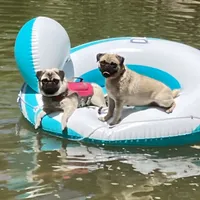 processed/41c70dcd-98a8-4962-9ec7-9160f60a6a86/facility/0a56ce74-976f-4237-b74d-46dcdd4b2b45