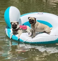 processed/41c70dcd-98a8-4962-9ec7-9160f60a6a86/facility/0a56ce74-976f-4237-b74d-46dcdd4b2b45